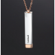 Two-tone drop bar pendant